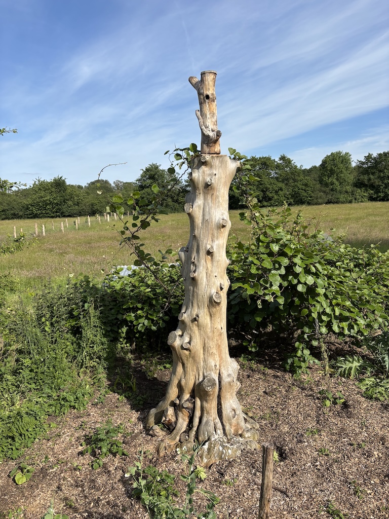 installation nichoirs oiseaux arbre securite atlantique elagage loire atlantique labaule saint nazaire 7